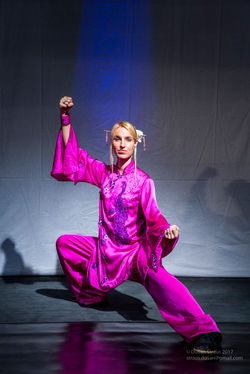 Taichi oslava roku kohouta 2017 03