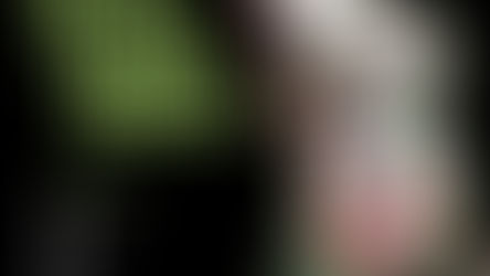 Top 10 Festive Choices