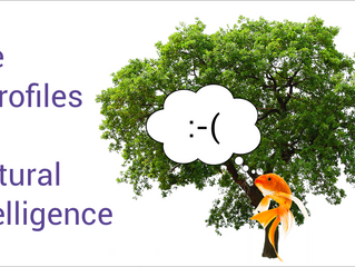 6 GIFS for the 6 Profiles of Cultural Intelligence