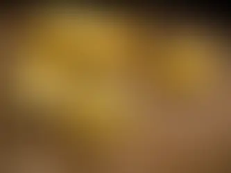 ouro puro ou refinado