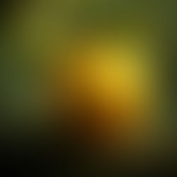 The Golden Kind