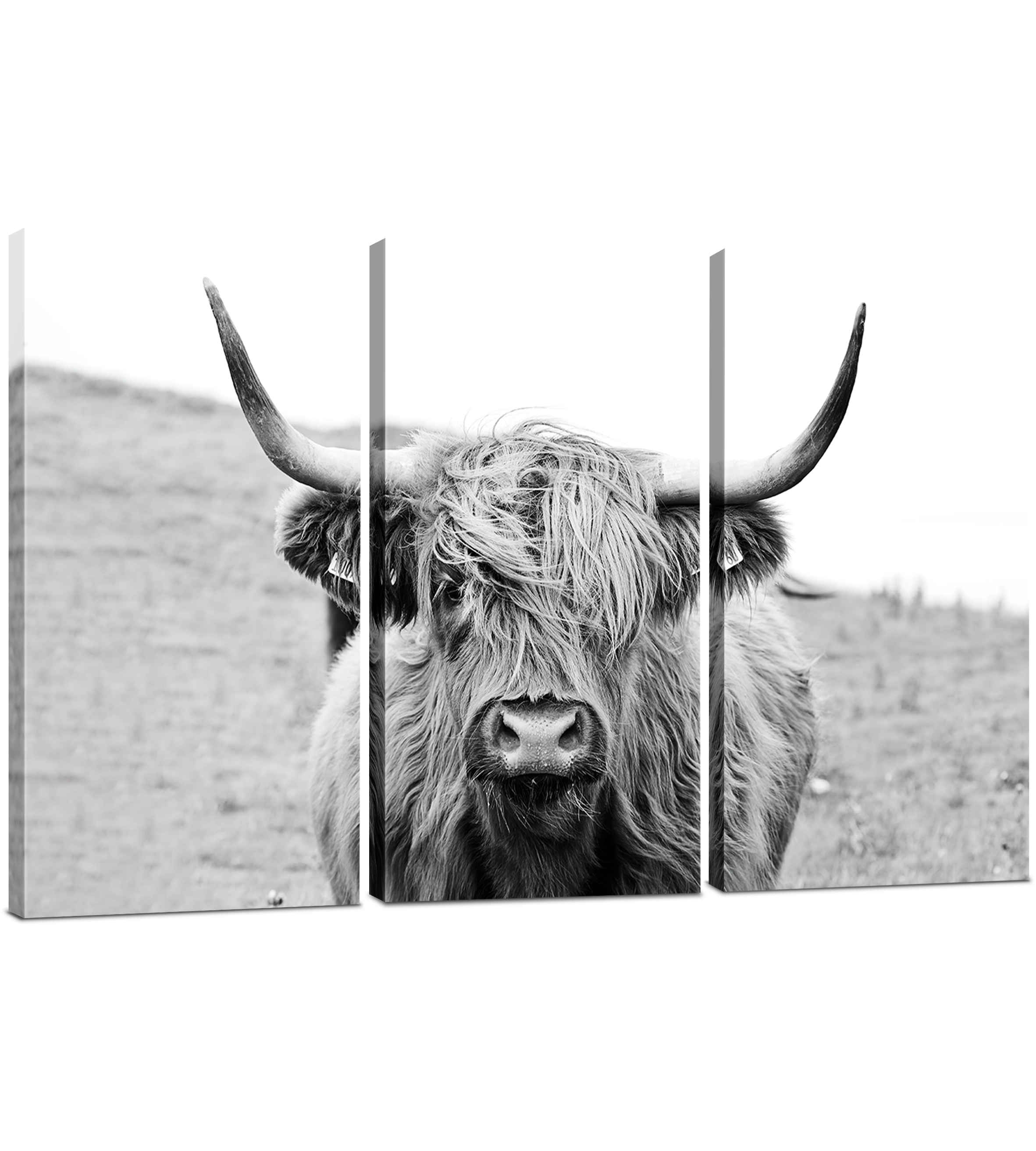 Canvas Wall Art Decor - Longhorn Cow 3 Piece Set