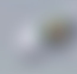 Les regards tournés vers le sommet de l'AES à Niamey lors d'une réunion de ministres de la Cédéao