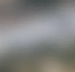 Les États-Unis sanctionnent des extrémistes israéliens accusés d'entraver l'aide pour Gaza