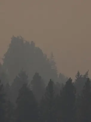 Dans l'Ouest canadien, la saison des incendies a démarré tôt et fort