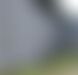 Au moins 116 migrants morts en trois ans à la frontière entre l'Union européenne et la Biélorussie