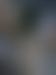 Sahara occidental: Alger retire son ambassadeur après le soutien renforcé de Paris à la position marocaine