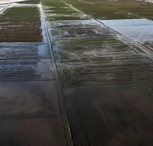 Brésil: face aux inondations, l'inquiétude du secteur agricole durement touché