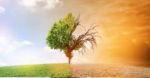 Changement climatique:Que change la condamnation de la Suisse par la CEDH?