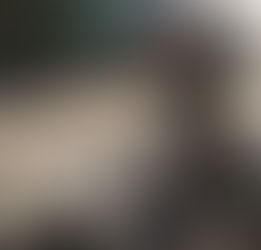 L'armée française parmi les plus féminisées au monde, avec 17% de femmes