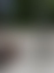 Népal: des inondations et glissements de terrain font au moins une dizaine de morts