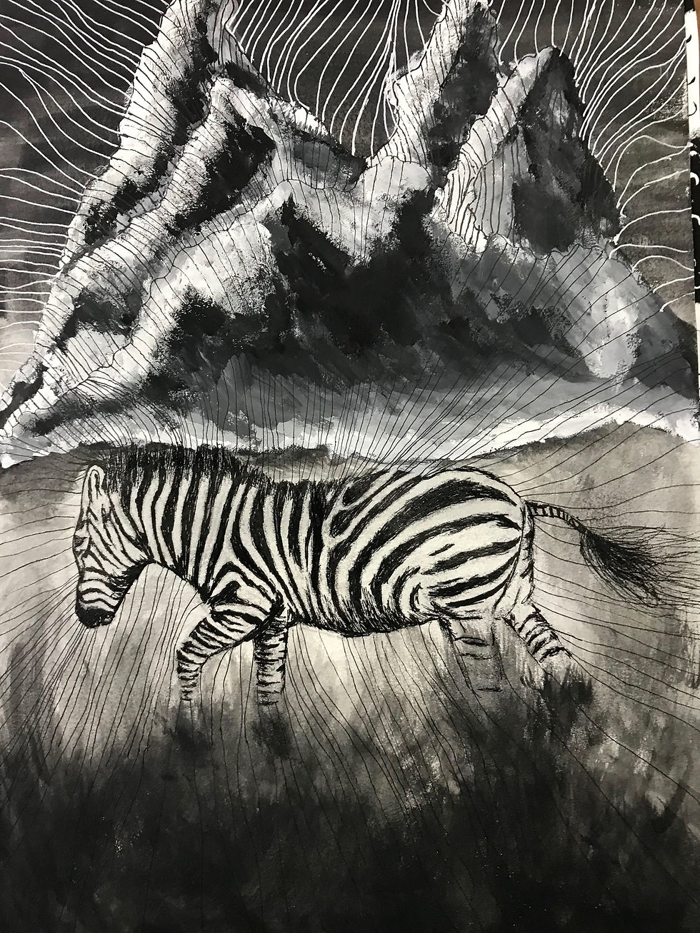The Zebra