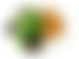 Linsen-Hafer Laibchen