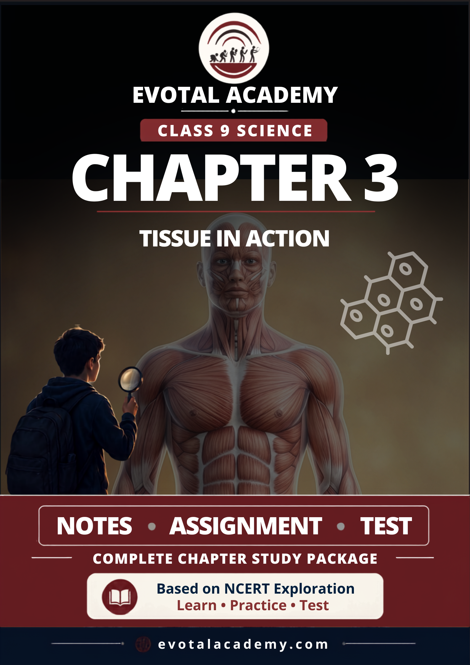 Class 9 Science Chapter 3 Tissue Notes, Assignment & Test PDF Bundle