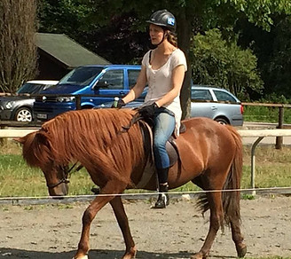 Lej en hest i Dyrehaven til turridning med eller uden guide. Vi tilbyder også hestesalg og udlån af heste. Staldhjælp er en m
