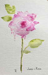 image0 (1).jpeg
