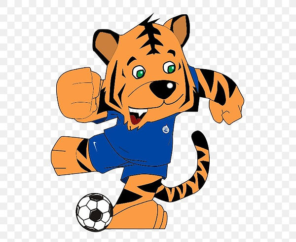 tiger-cat-aosta-calcio-511-football-png-