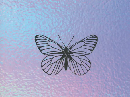 Phénoménologie queer : orientations, objets et autres. Traduit par Laurence Brottier