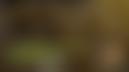 Was ich über Selbstheilung verstanden habe