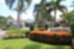 Floral with palm trees and fountain