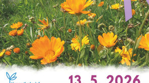 Týden 11.5. - 15.5.2026