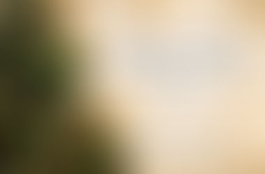 Veselé Vánoce s šťastný nový rok přeje vedení a zaměstnanci školy