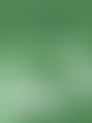 France Forum N°423 - Le sens du travail : une histoire de dignité humaine