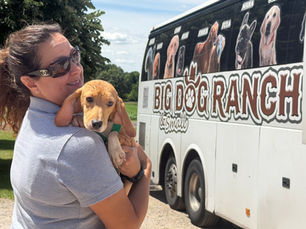 Big Dog Ranch Rescue secures closure of Wisconsin beagle breeding facility, to relocate 475 dogs