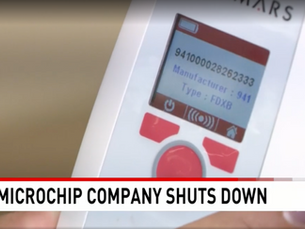 Unexpected shutdown of 'Save This Life' leaves pets without registered microchips