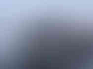 Photo Nov 21 2024, 3 33 25 PM