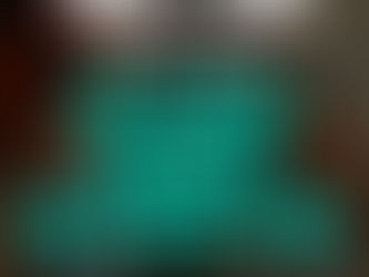 [US 이민법인] 한국 유명인의 미국 현지 촬영 O-1B 비자 승인 사례