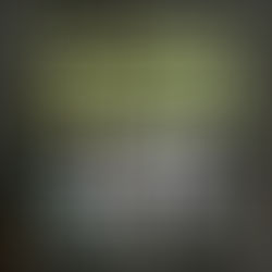 [US 이민법인]E-2 비자 인터뷰후기/28년 베테랑 건설 엔지니어 