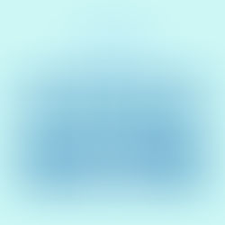 [US 이민법인] 미국 영주권 포기(I-407) 승인 후 ESTA 신청 사례