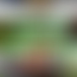 [US 이민법인] 과거 입국거절 기록이 있는 건설현장 숙련공의 E-2비자 승인사례