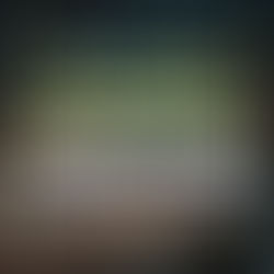 [US 이민법인]E-2비자 인터뷰 후기/한국 지사에서의 6년 경력 엔지니어 핵심적인 직원 입증 