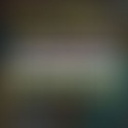 [US 이민법인] 한국 엔지니어의 미국 프로젝트 파견 ㅣ E-2 비자 인터뷰후기 (비자 거절 후 승인)