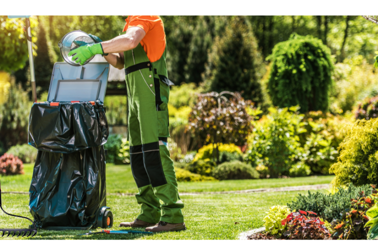 Packages Graphic.jpg