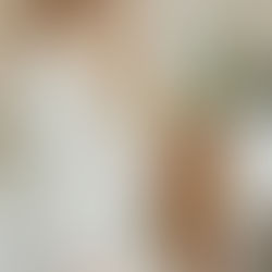 The Journey of Fostering with Doodle Dandy: What to Expect