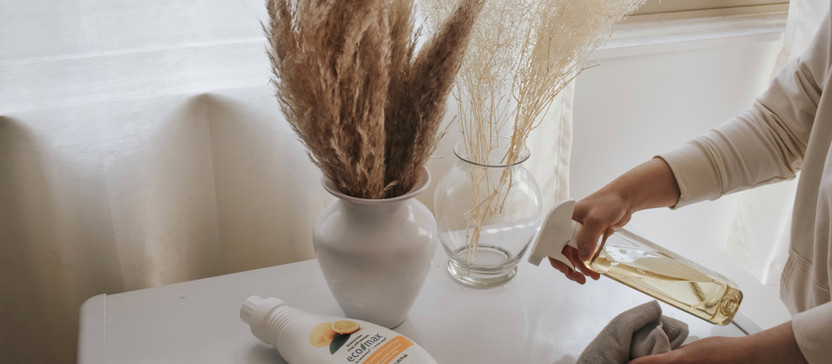 Spring Clean with me