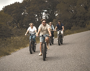 vélo fat bike électrique viella