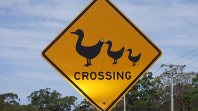 Signe Crossing