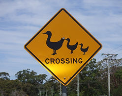 Crossing Sign