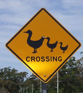 Duck Crossing Sign