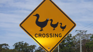 Tehlikeli maddelerin izinsiz olarak bulundurulması veya el değiştirmesi suçu | TCK 174