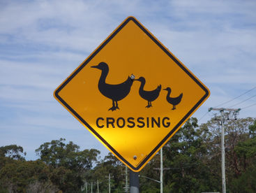 How to Use a Cross Join in SQL Server: A Beginner's Guide