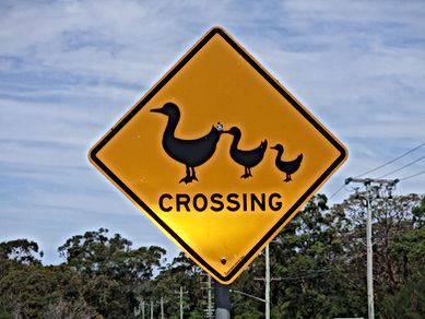 Crossing Sign