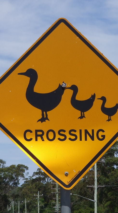 Señal de cruce