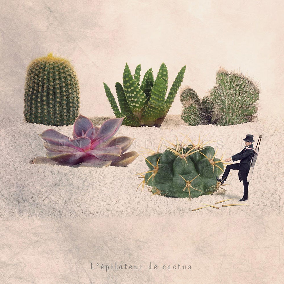 L’épilateur de cactus