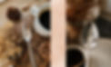 Sous le sable design.jpg