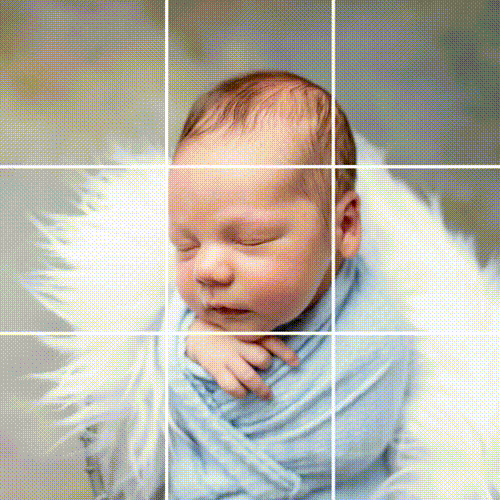 Newborn Tile.gif